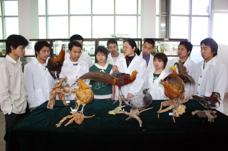 胡辉院长指导学生开展实习实训.jpg